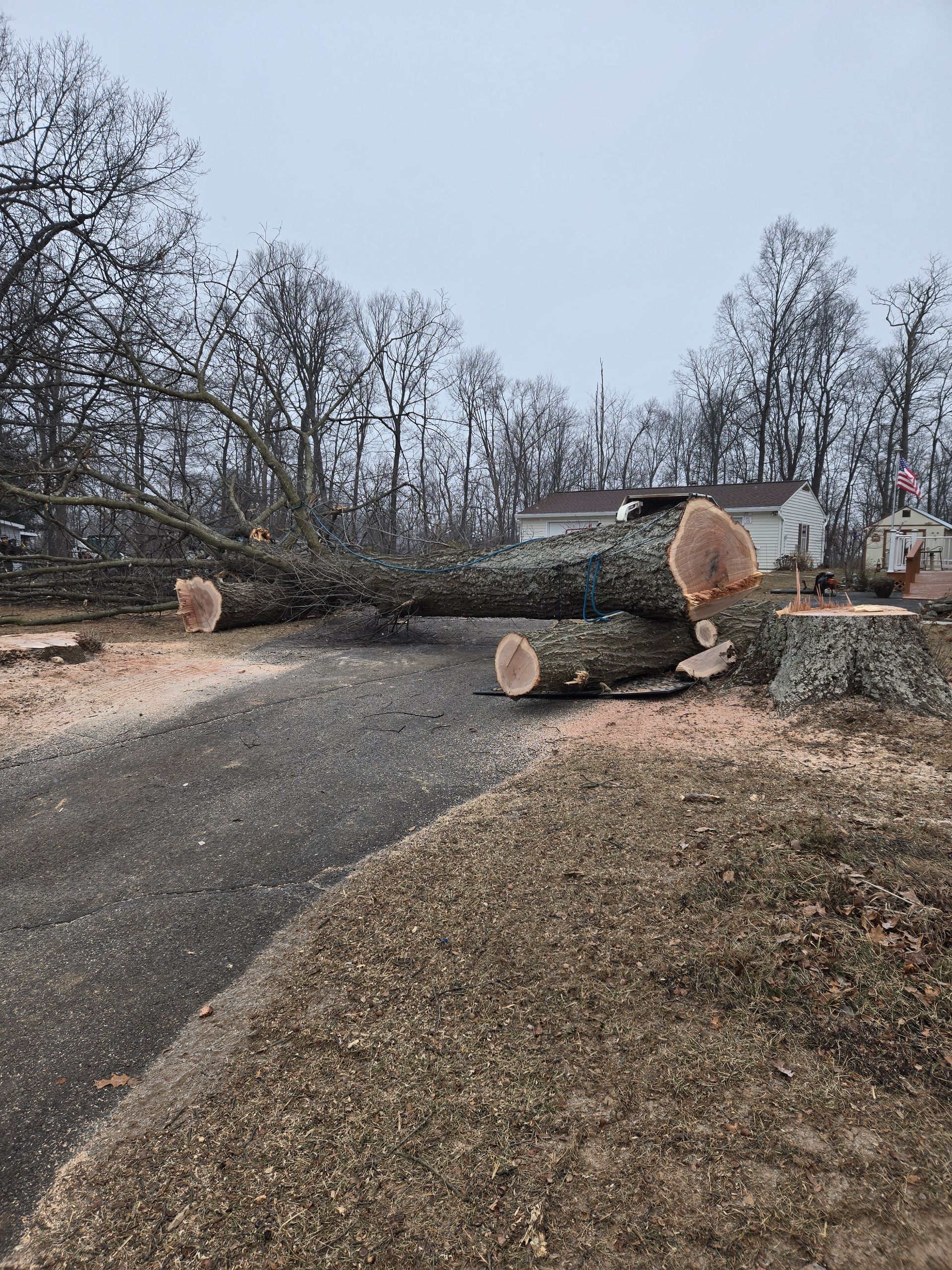 A large tree stump is laying on the side of a road