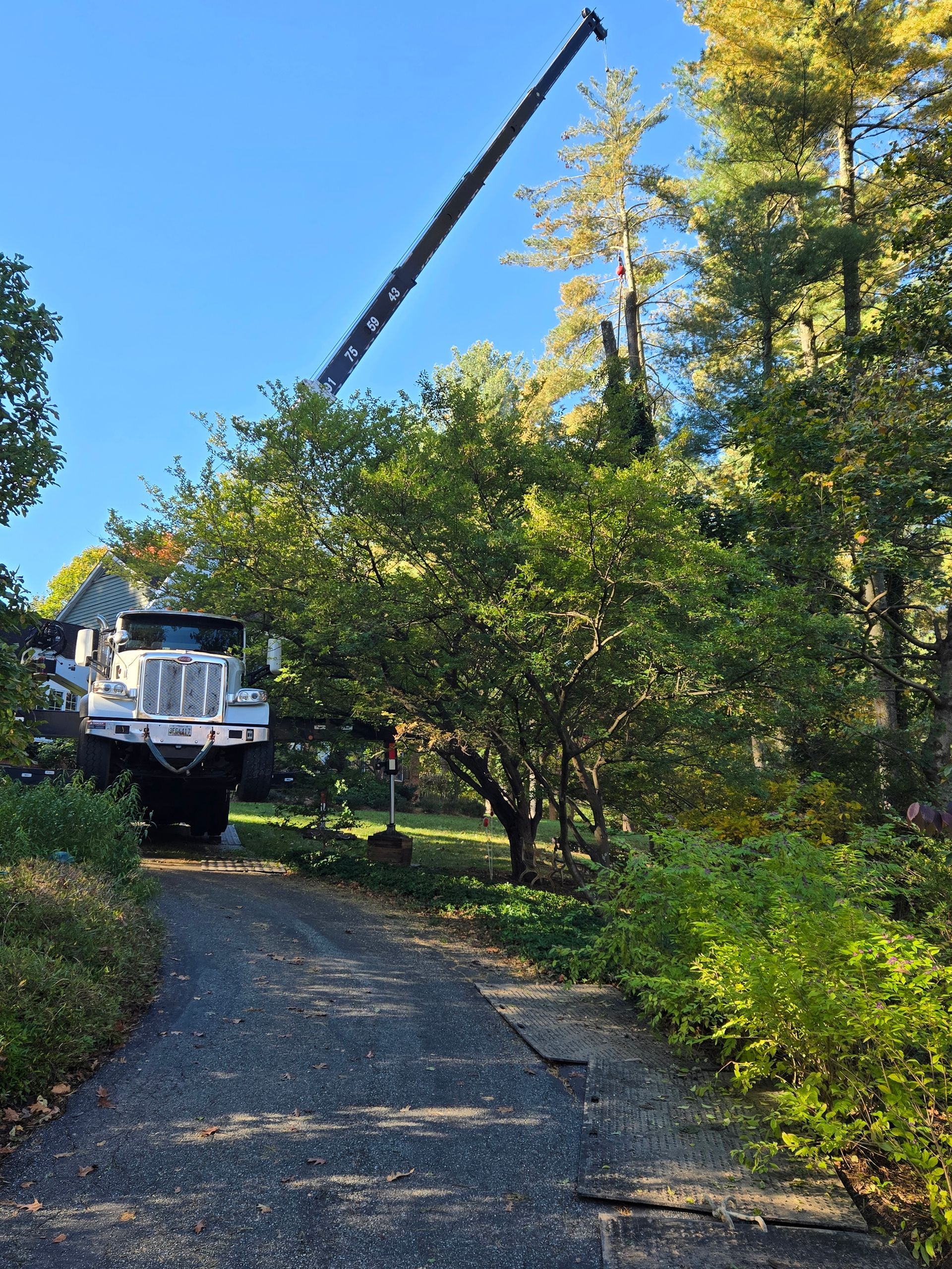 A white truck is parked in a driveway next to trees