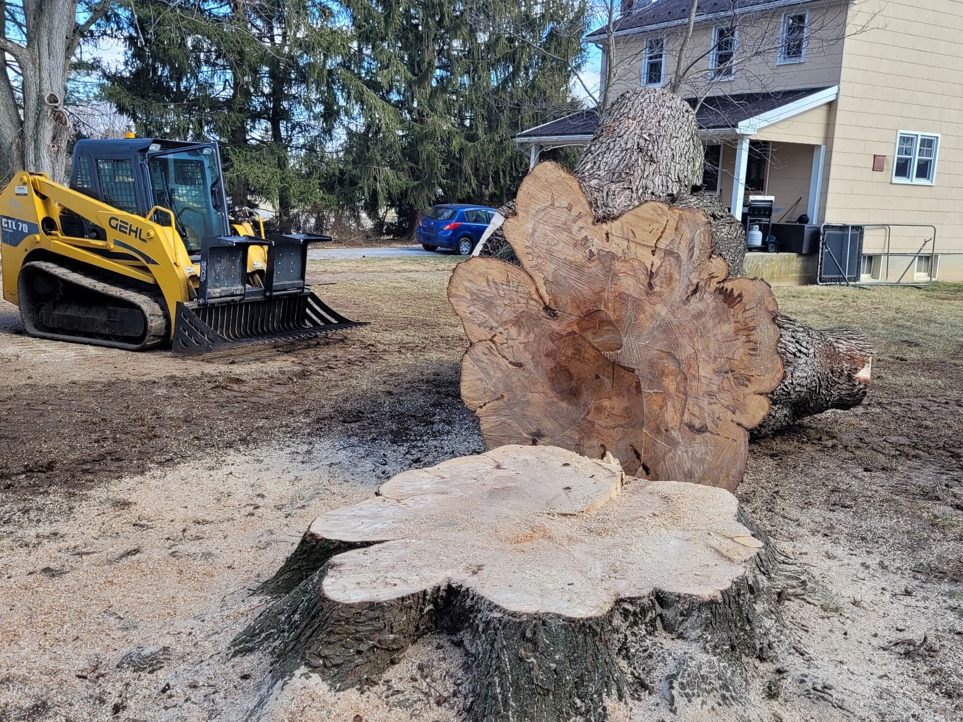 A large tree stump with a bulldozer in the background