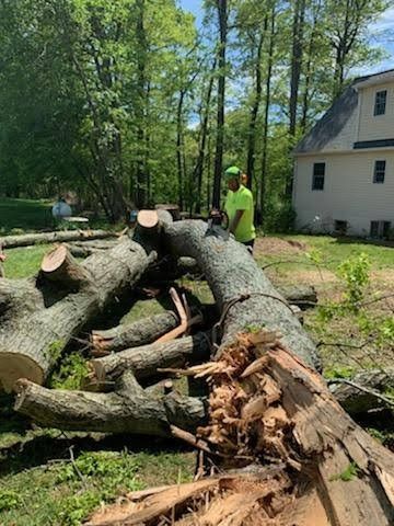 A man is standing next to a pile of logs in front of a house