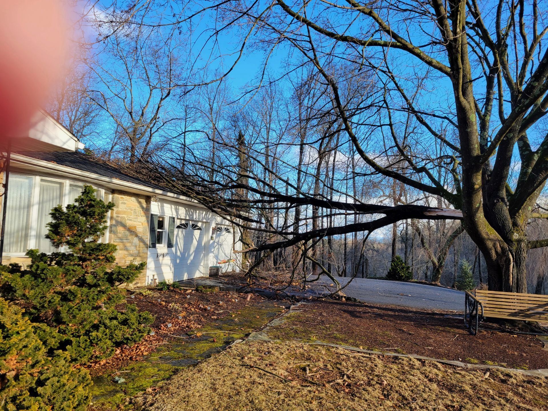 A house with a fallen tree in front of it