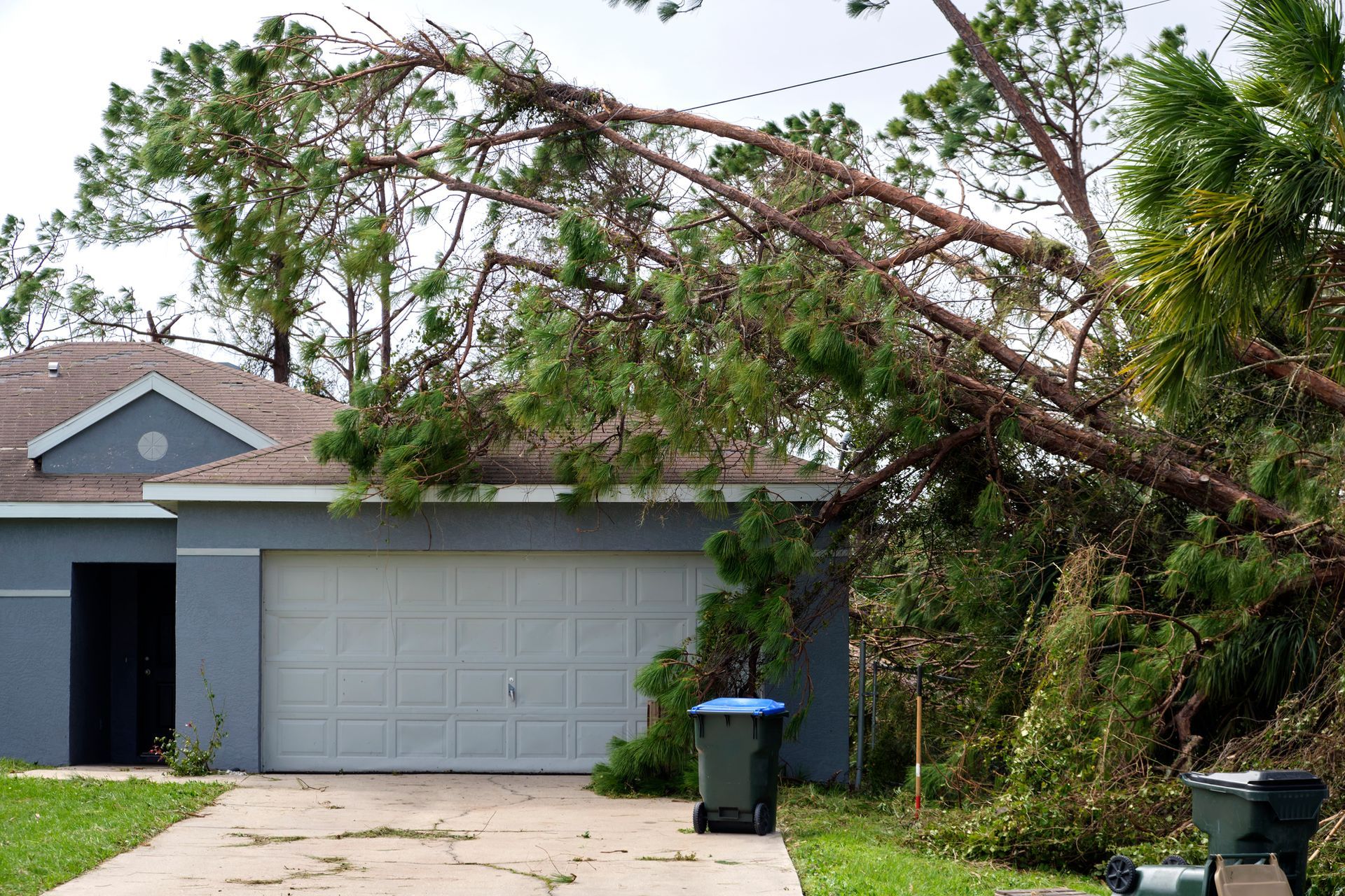 Storm damage cleanup