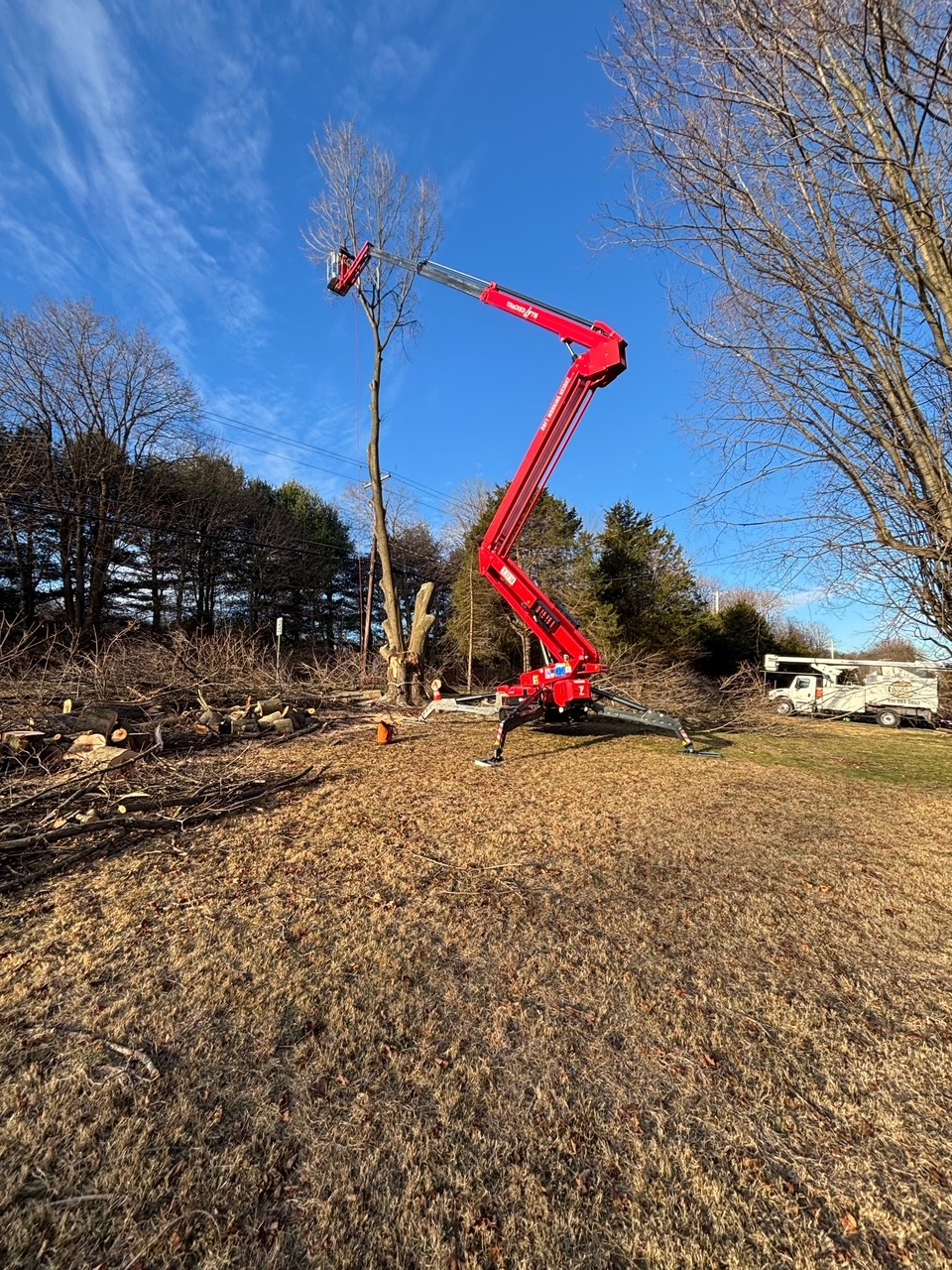 Crane removing a tree in an open field